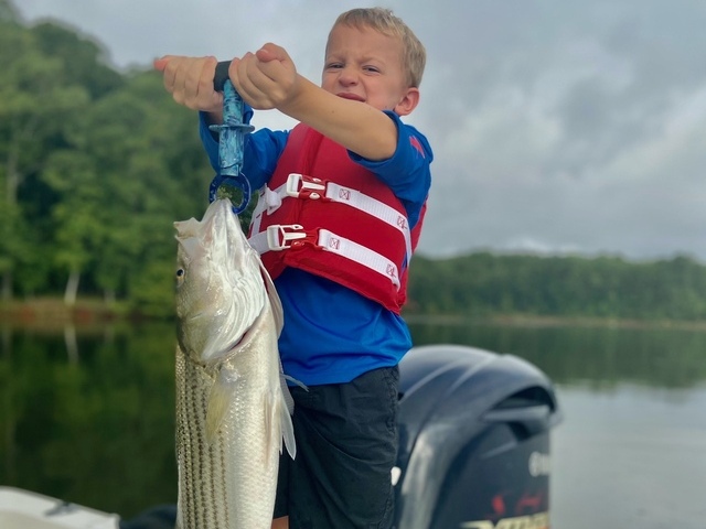 Bass Fishing in Lake Oconee