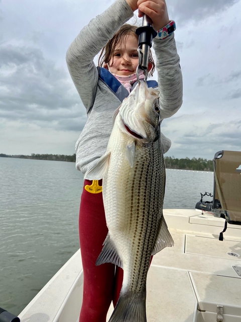 Lake Oconee Striper Fishing