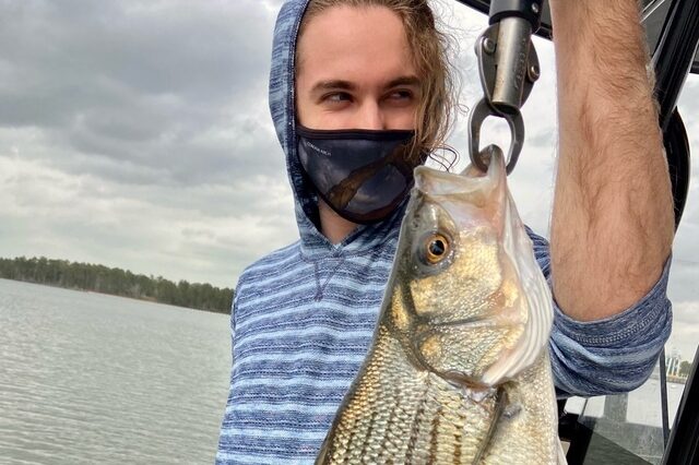 Lake Oconee Striper Fishing