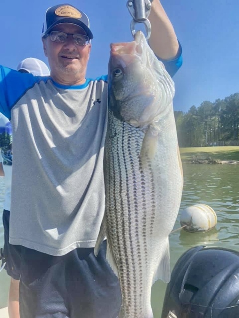 Bass Stripers Fishing in Lake Oconee