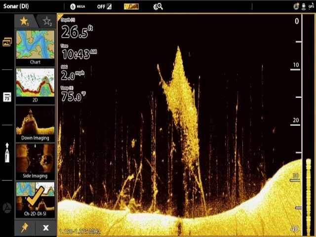 Crappie Fishing in Lake Oconee