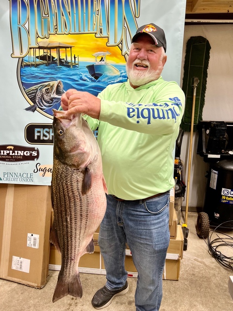 Lake Oconee Striper Fishing