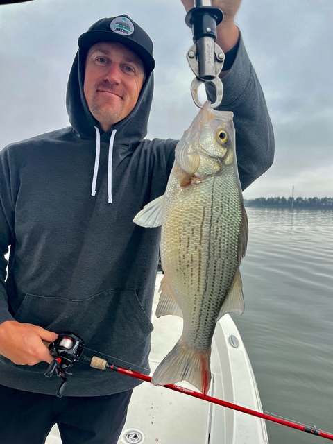 Lake Oconne Striper fishing