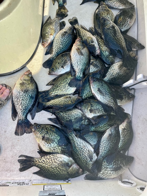 Lake Oconee Crappie fishing