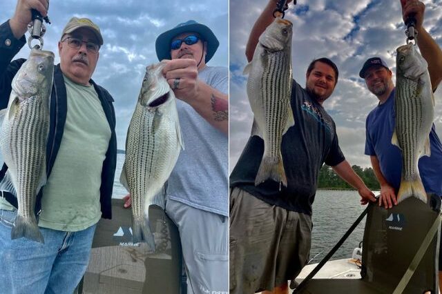 Lake Oconee Striper fishing