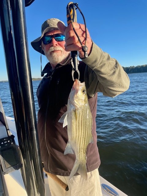 Lake Oconee fishing