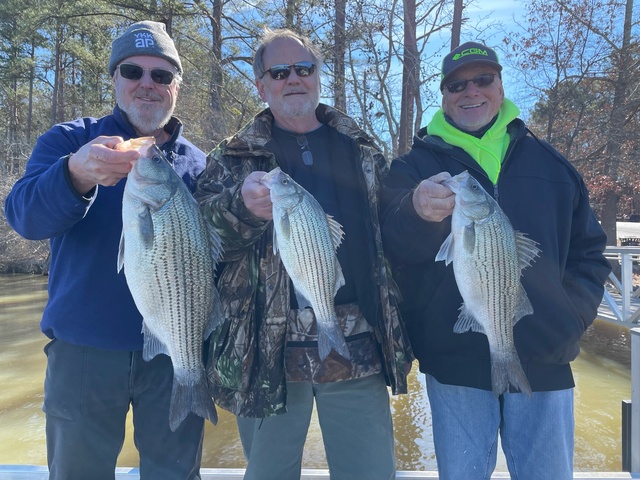 Lake Oconee Striper fishing