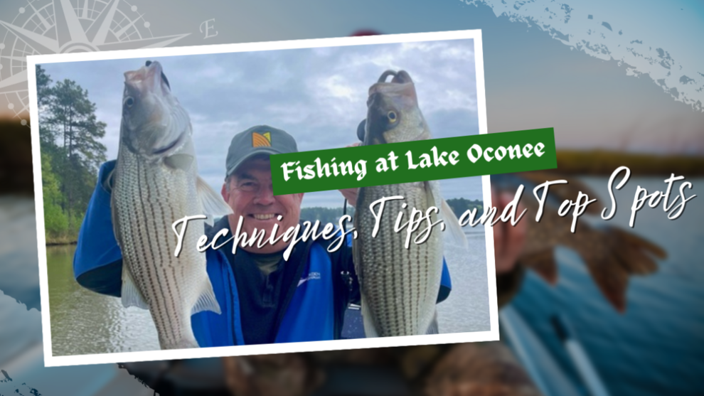 Fishing at Lake Oconee Techniques, Tips, and Top Spots