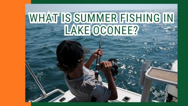 Summer Fishing in Lake Oconee