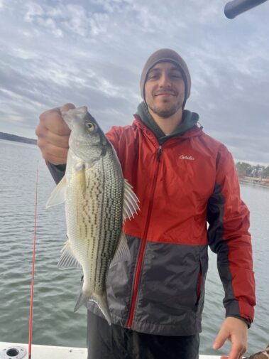 Lake Oconee Striper Fishing