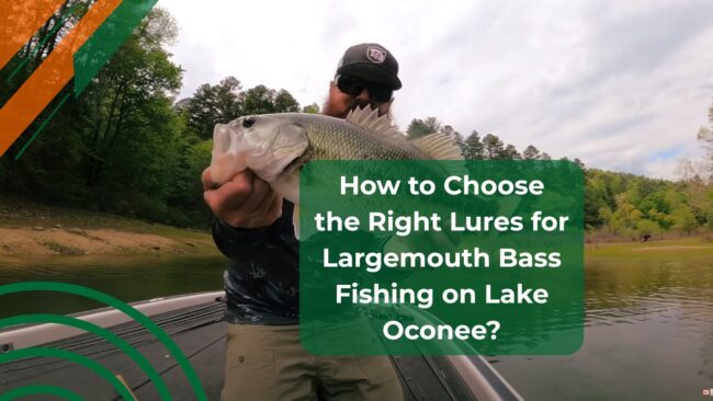 Bass-Fishing-on-Lake