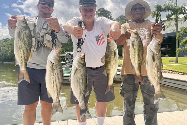 Lake Oconee Striper fishing