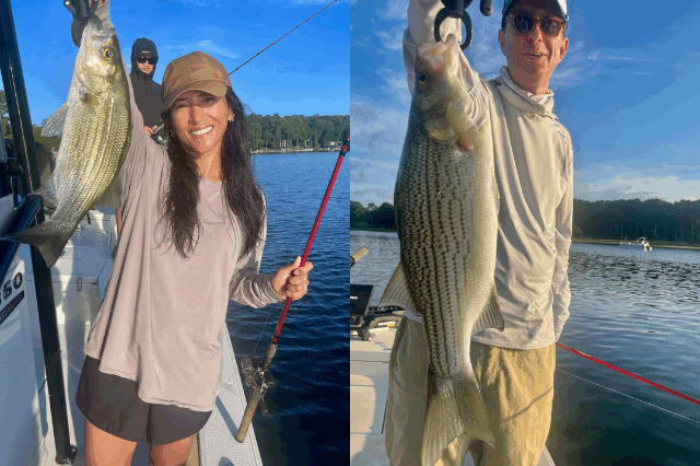 Lake Oconee Striper fishing