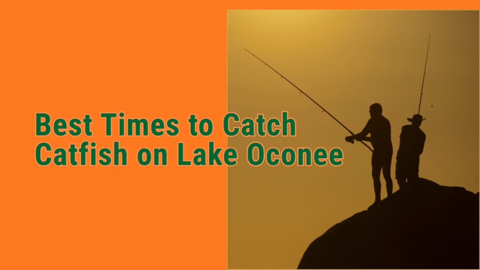 Best Times to Catch Catfish on Lake Oconee