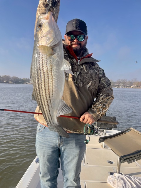 Lake Oconee Striper fishing