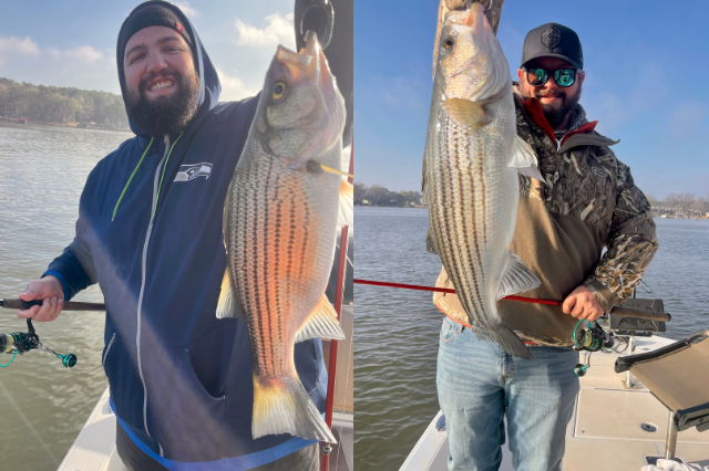 Lake Oconee Striper fishing