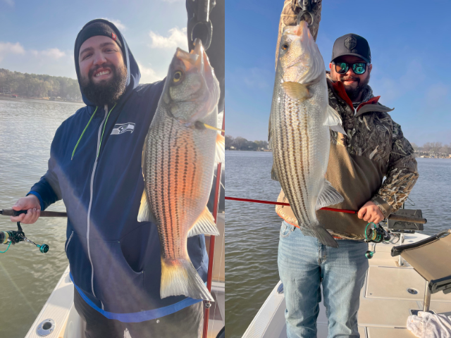 Lake Oconee Striper fishing