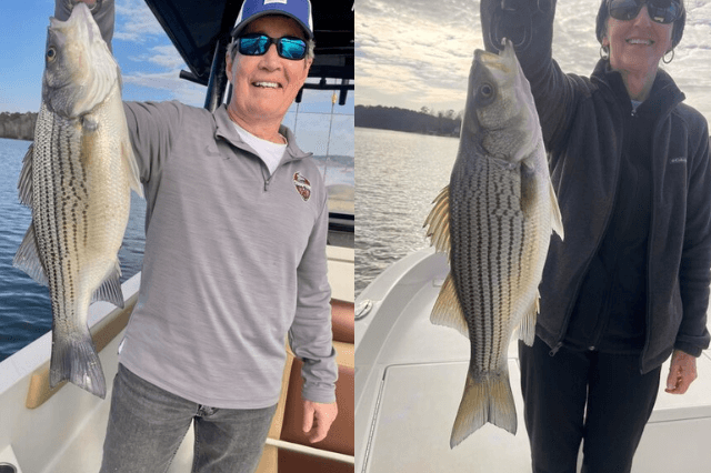 Lake Oconee Striper Fishing
