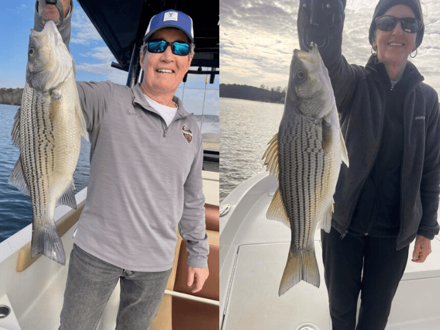 Lake Oconee Striper Fishing