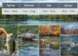Lake Oconee Seasonal Fishing Calendar by Species
