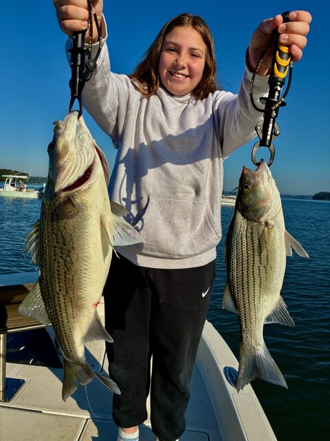 Lake Oconee hybrid fishing