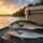 Hybrid Bass and Stripers on Lake Oconee