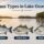 Striped vs Hybrid vs White Bass