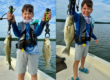 Lake Oconee Striper Fishing