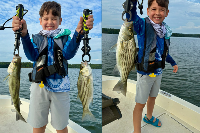 Lake Oconee Striper Fishing Lake Oconee Striper Fishing