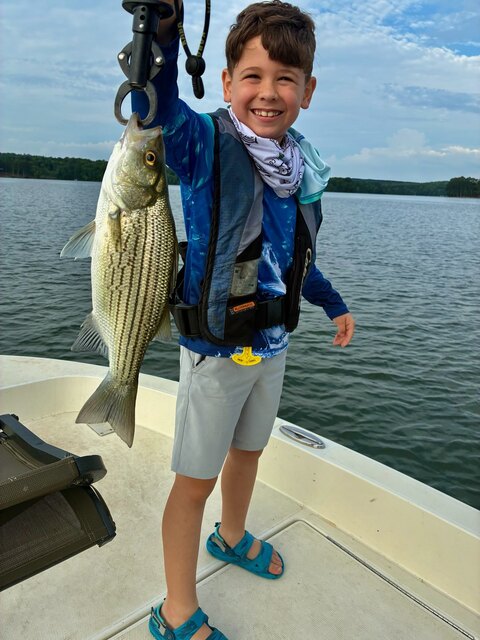 Lake Oconee Striper Fishing