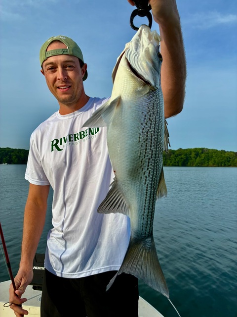Lake Oconee Striper Fishing
