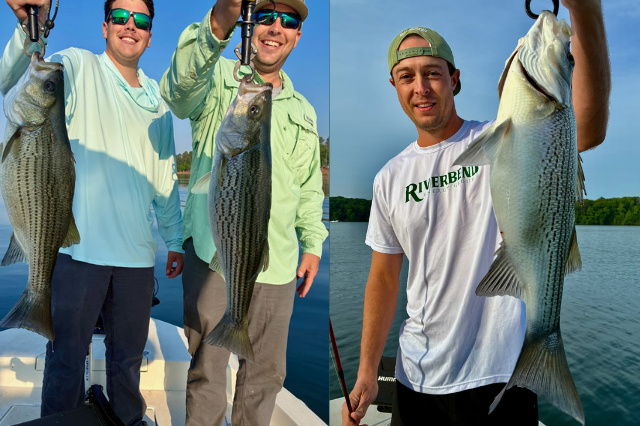 Lake Oconee Striper Fishing Lake Oconee Striper Fishing