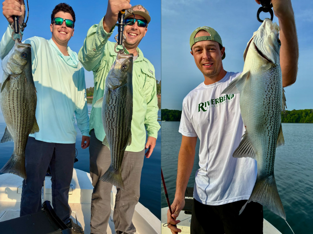 Lake Oconee Striper Fishing Lake Oconee Striper Fishing