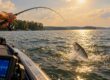 Lake Oconee Stripers Harder to Catch in Summer
